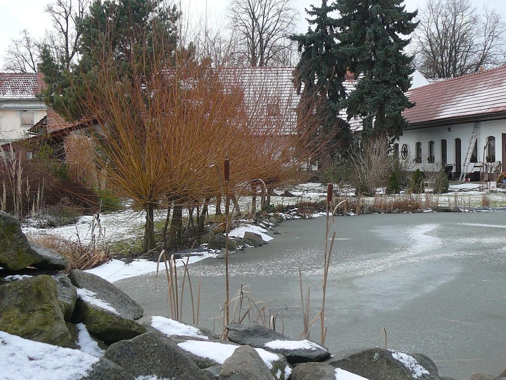 La Ferme De Sissi Apartamento Smrzice Exterior foto